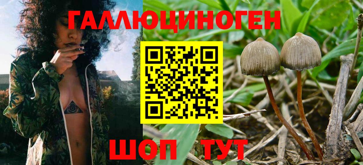 Псилоцибиновые грибы мицелий  Вход с VPN  Галлюциногенные грибы MAGIC MUSHROOMS  Владикавказ 