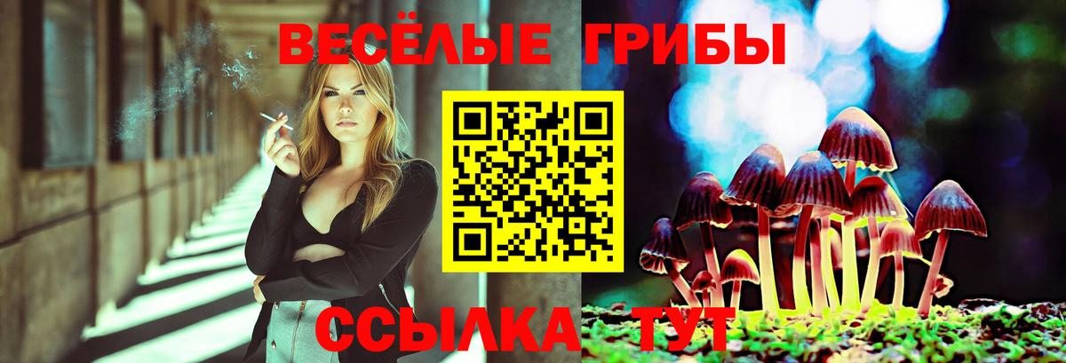 Псилоцибиновые грибы Psilocybine cubensis Владикавказ